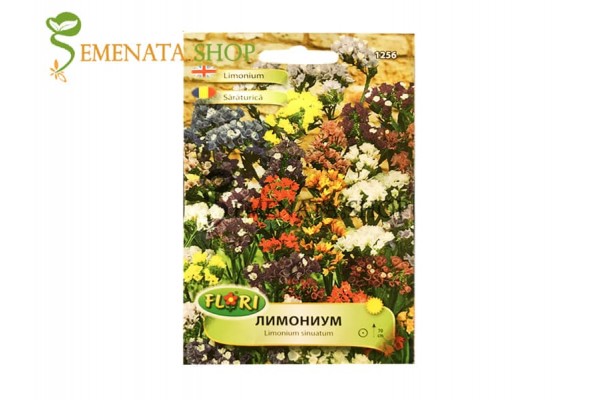 Семена на Лимониум – Limonium sinuatum Семена на Лимониум – Limonium sinuatum